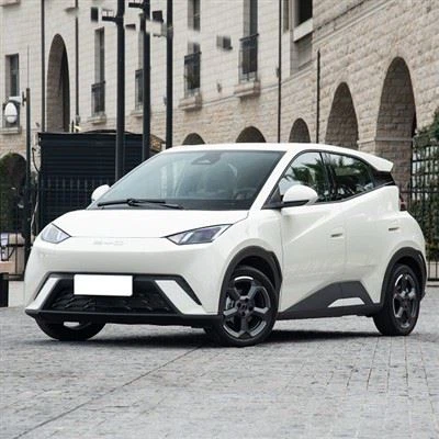BYD MÖWE EV