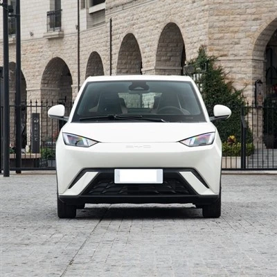 Neue EV -Autos 2025